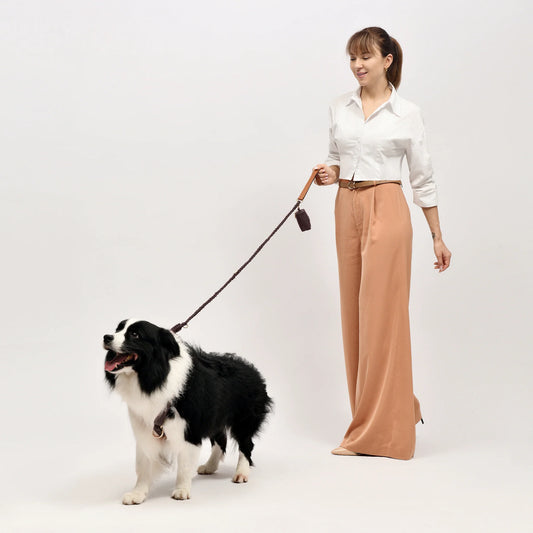 Furri Tell Handmade Leather Dog Harness - Brown