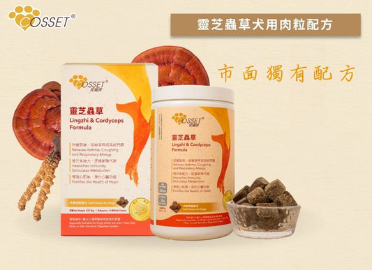 Cozzet Lingzhi and Cordyceps Dog Treats 70 Count