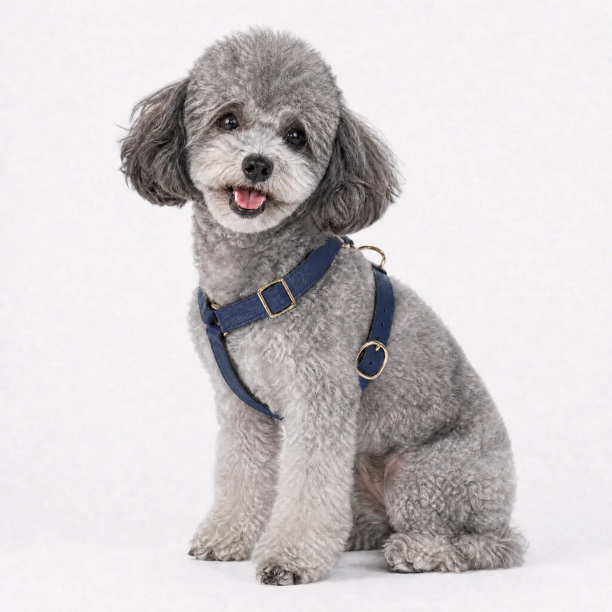 Furri Tell Handmade Leather Dog Harness - Blue