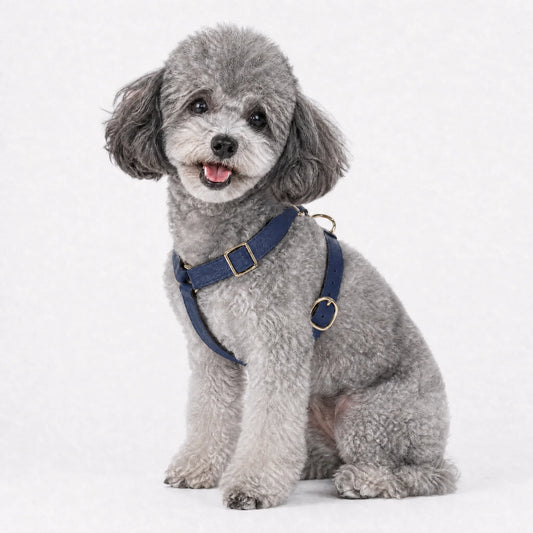 Furri Tell Handmade Leather Dog Harness - Blue