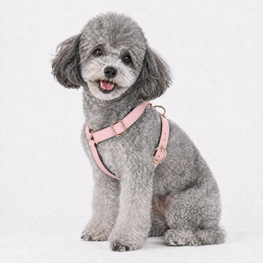 Furri Tell Handmade Leather Dog Harness - Pink
