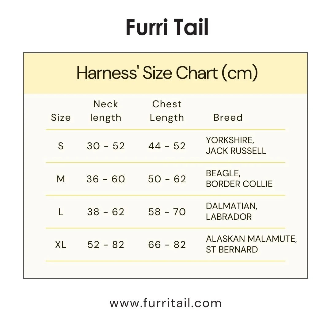 Furri Tell Handmade Leather Dog Harness - Blue