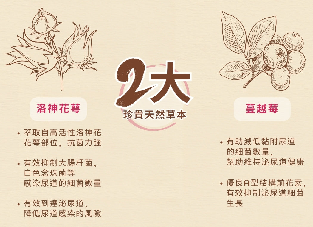 Cozzet 洛神花萼泌尿護理配方30包