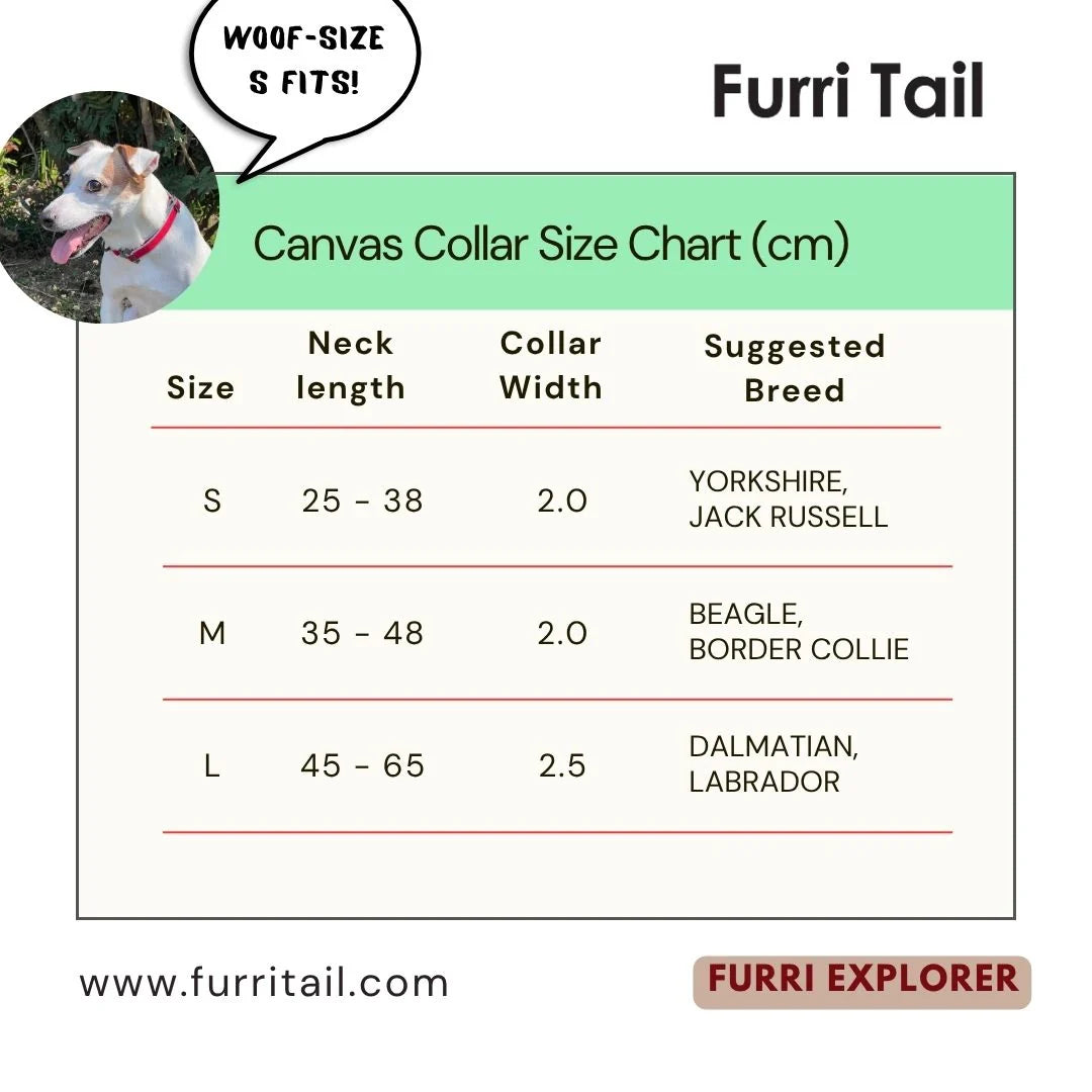 Furri Explorer Sport Dog Collar - Red