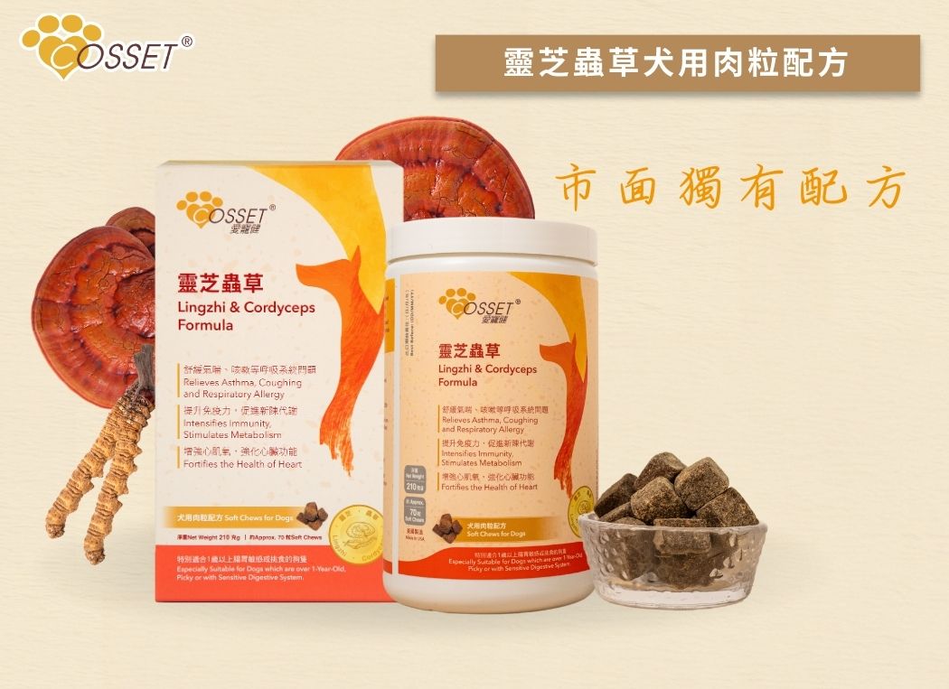 Cozzet Lingzhi and Cordyceps Dog Treats 70 Count