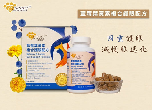 Cozzet Bilberry Lutein Complex Eye Care Formula, 30 capsules