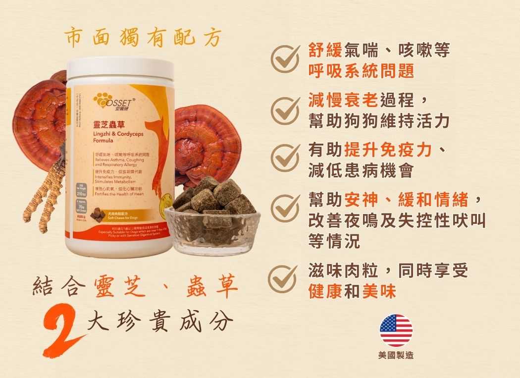 Cozzet Lingzhi and Cordyceps Dog Treats 70 Count