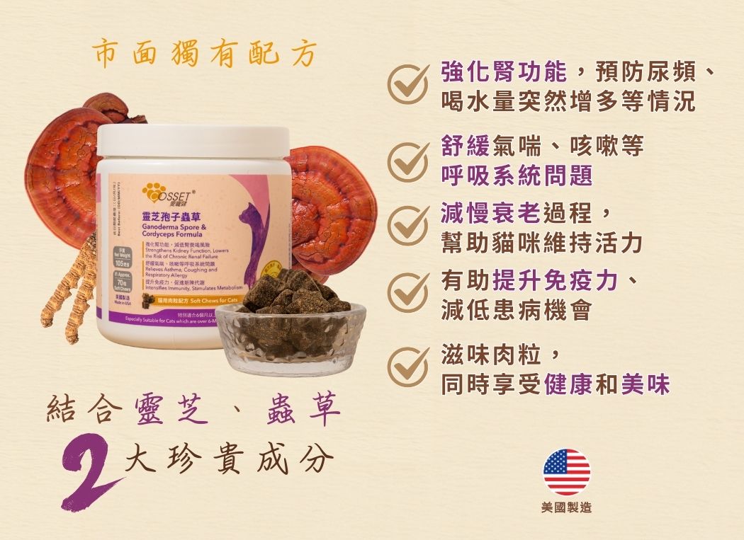 Cozzet Lingzhi Spore Cordyceps Cat Treats 70 Count