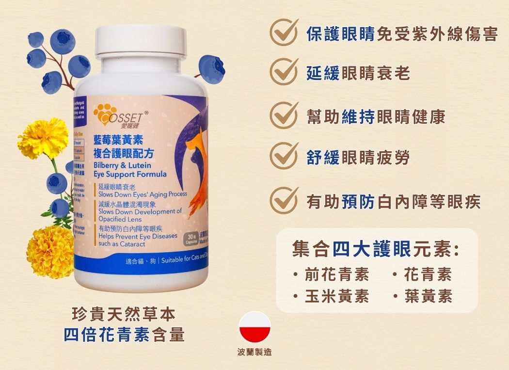 Cozzet Bilberry Lutein Complex Eye Care Formula, 30 capsules