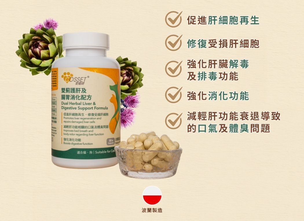 Cozzet Milk Thistle Liver & Digestive Support Formula 90 Capsules